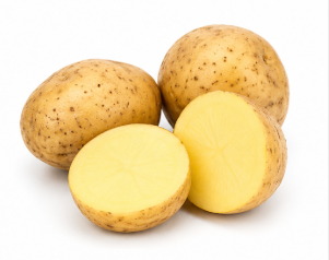 Potato gallery image 4